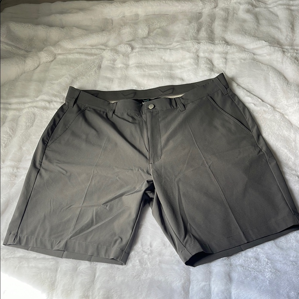 TGW Men's Gray Golf Shorts